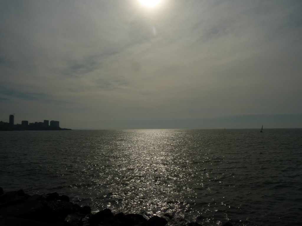 Foto: Puerto de Mar del Plata. - Mar del Plata (Buenos Aires), Argentina