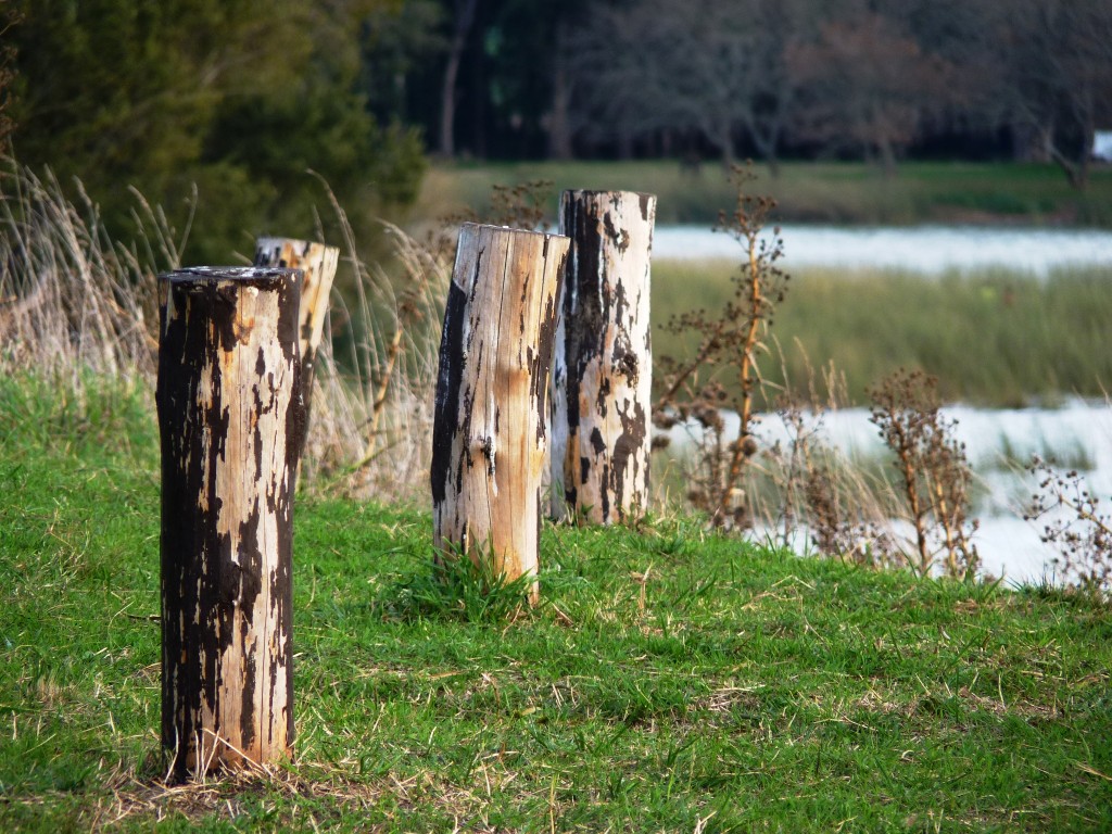 Foto: Laguna de los Padres - Mar del Plata (Buenos Aires), Argentina