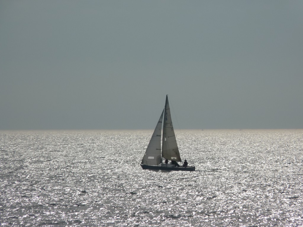 Foto: Puerto de Mar del Plata. - Mar del Plata (Buenos Aires), Argentina