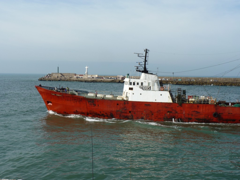 Foto: Puerto de Mar del Plata. - Mar del Plata (Buenos Aires), Argentina
