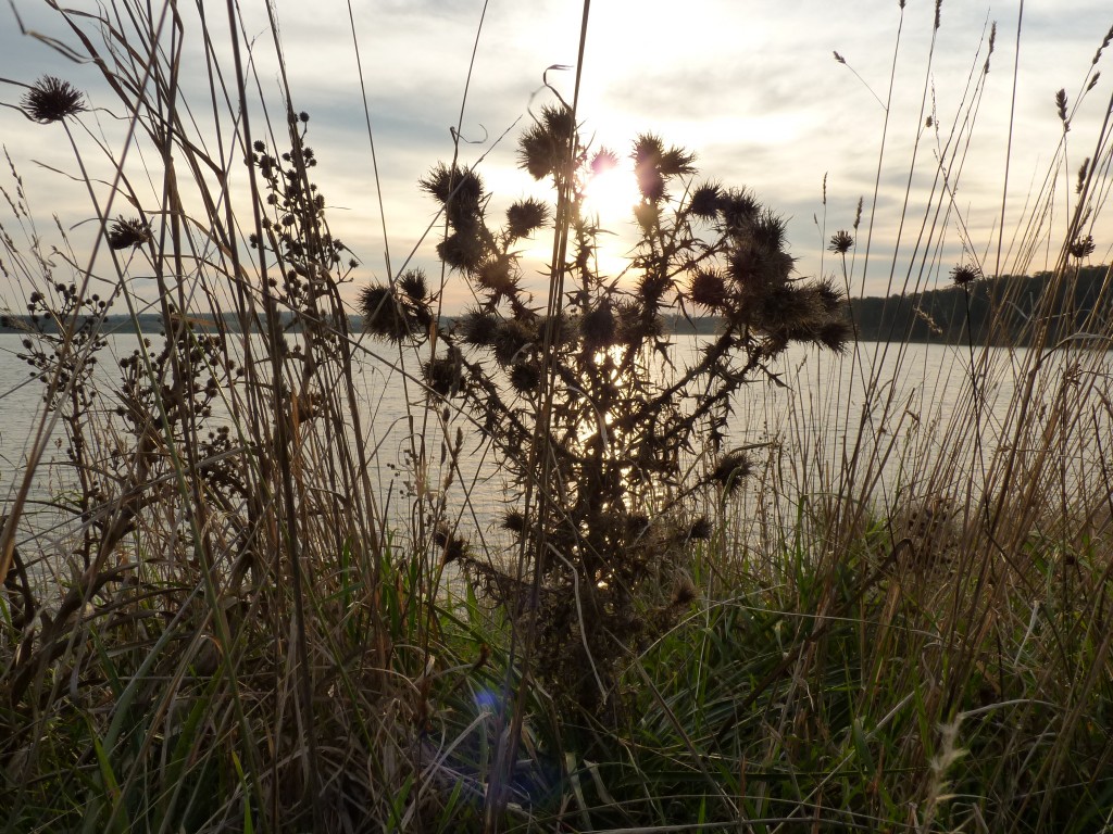 Foto: Laguna de los Padres - Mar del Plata (Buenos Aires), Argentina