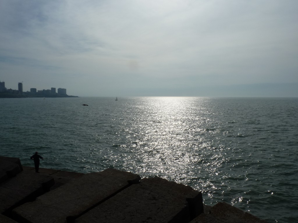 Foto: Puerto de Mar del Plata. - Mar del Plata (Buenos Aires), Argentina