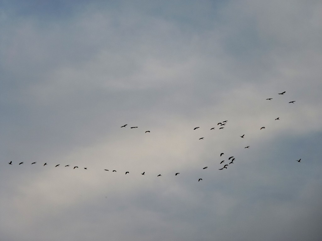 Foto: Laguna de los Padres - Mar del Plata (Buenos Aires), Argentina
