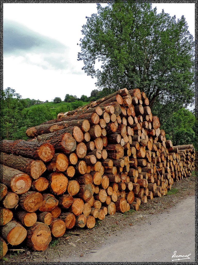 Foto: 150513-055 CESTONA - Cestona (Gipuzkoa), España