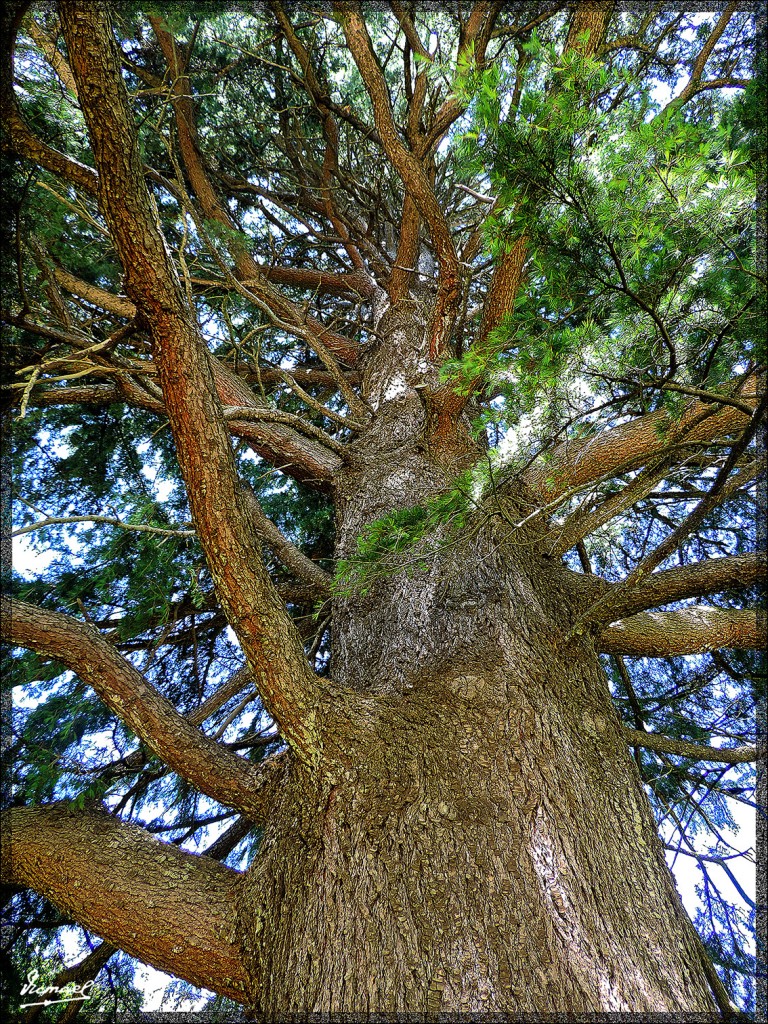 Foto: 150518-016 CESTONA - Cestona (Gipuzkoa), España