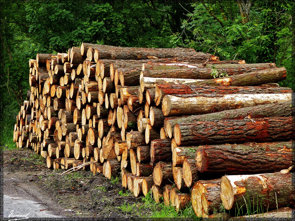 Foto: 150519-045 CESTONA - Cestona (Gipuzkoa), España