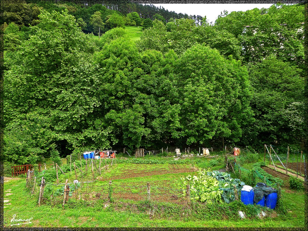 Foto: 150519-043 CESTONA - Cestona (Gipuzkoa), España