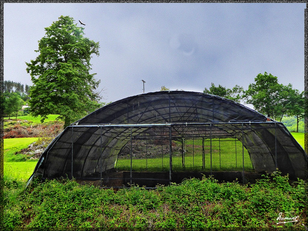 Foto: 150519-042 CESTONA - Cestona (Gipuzkoa), España