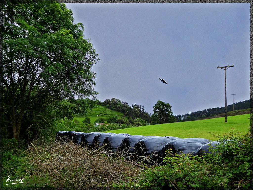 Foto: 150519-040 CESTONA - Cestona (Gipuzkoa), España