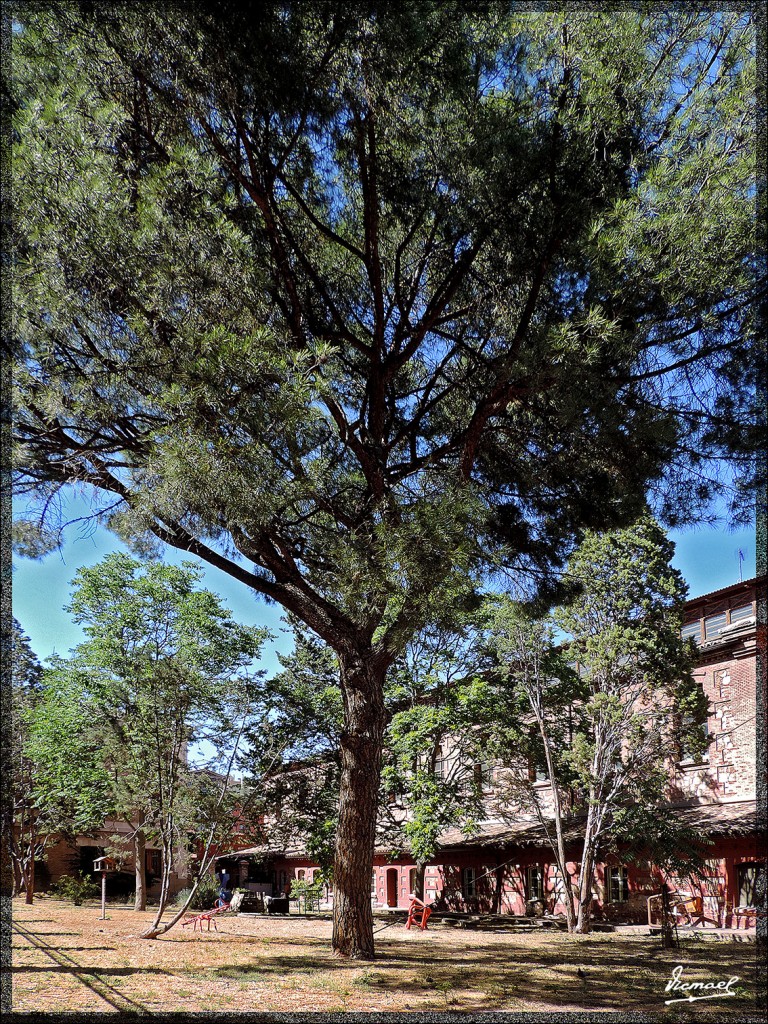 Foto: 150605-17 ANTIGUO MATADERO - Zaragoza (Aragón), España