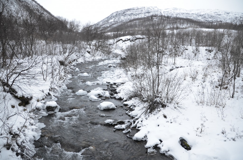 Foto de Tromso (Troms), Noruega
