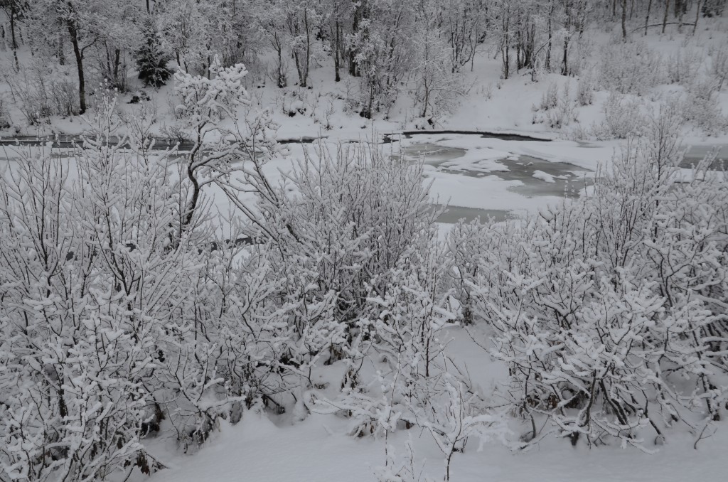 Foto de Tromso (Troms), Noruega