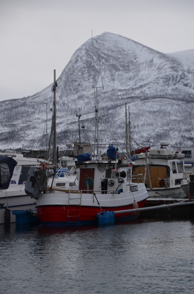 Foto de Tromso (Troms), Noruega