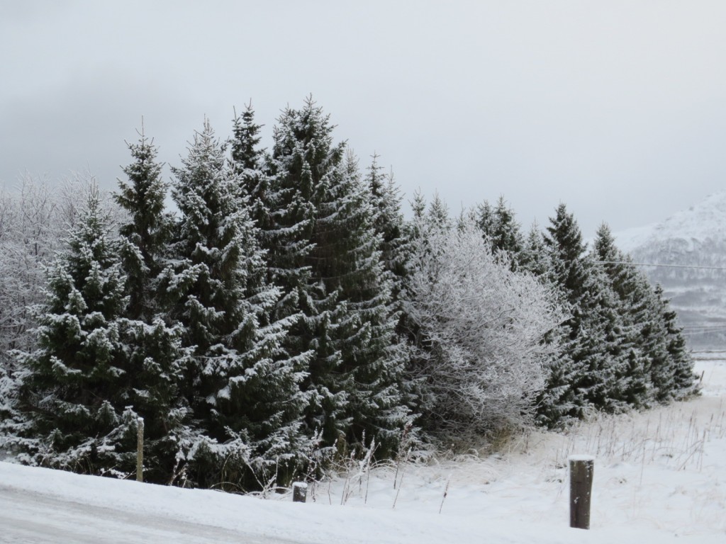 Foto de Tromso (Troms), Noruega