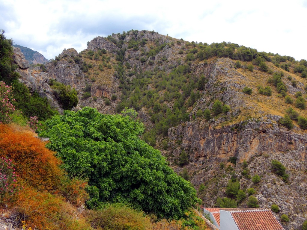 Foto de Frigiliana (Málaga), España