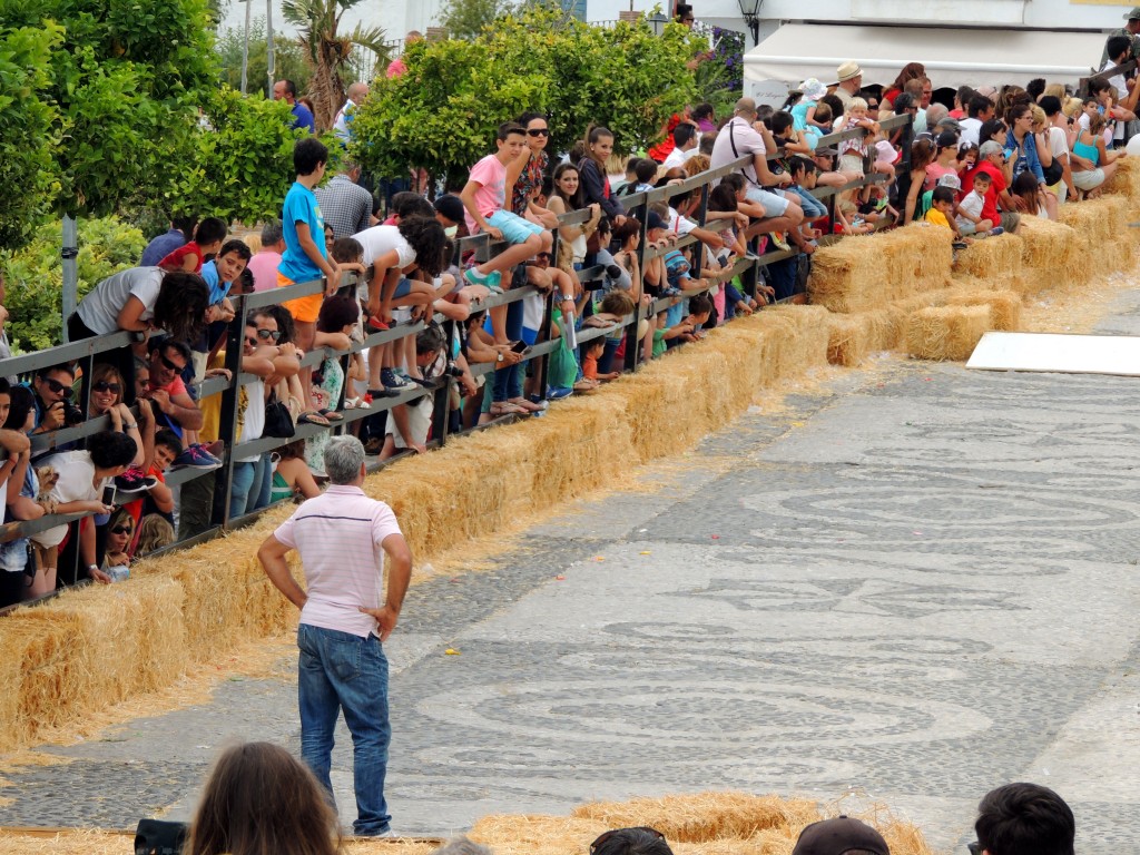 Foto: Esperando los coches locos - Frigiliana (Málaga), España