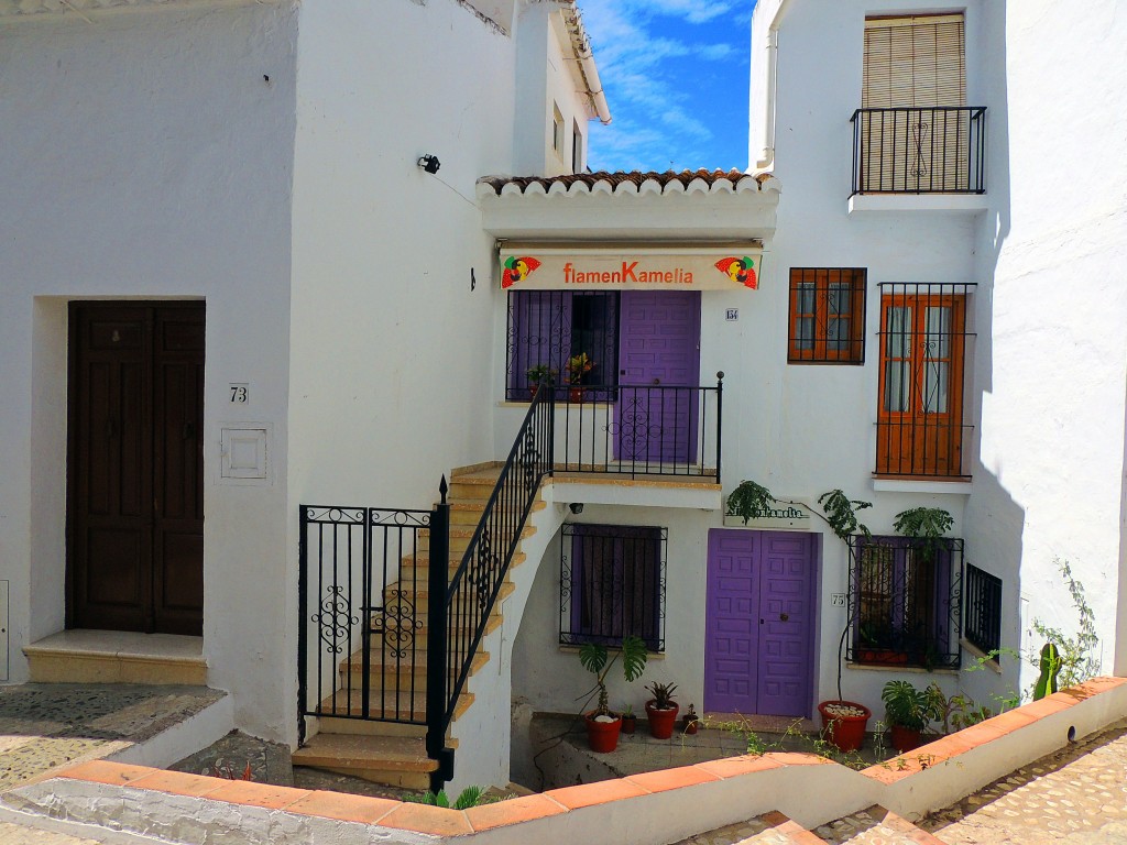 Foto: Flamenkamalía - Frigiliana (Málaga), España