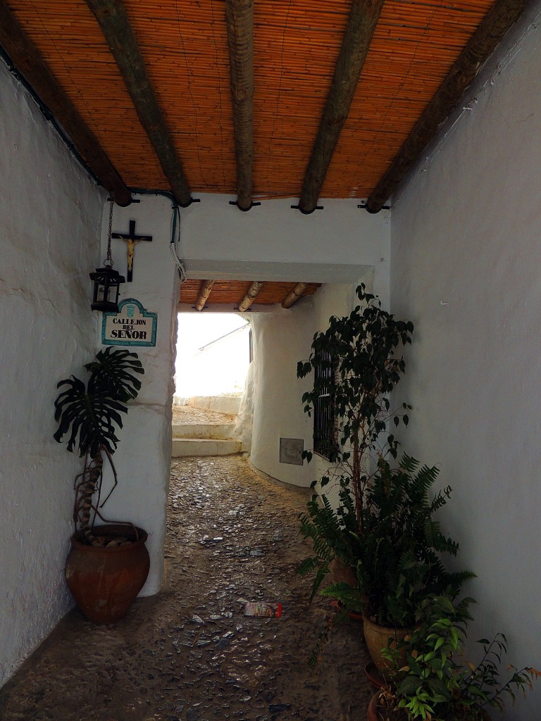 Foto: Callejón del Señor - Frigiliana (Málaga), España