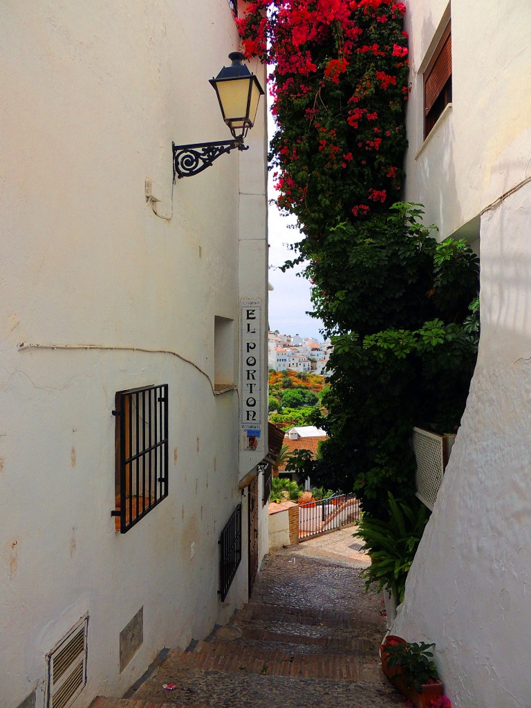 Foto: Restaurante El Portón - Frigiliana (Málaga), España