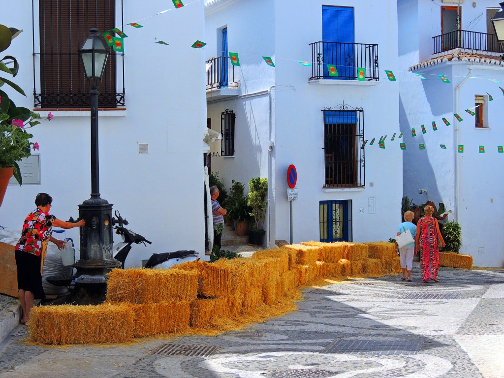 Foto: Defensas para la carrera - Frigiliana (Málaga), España