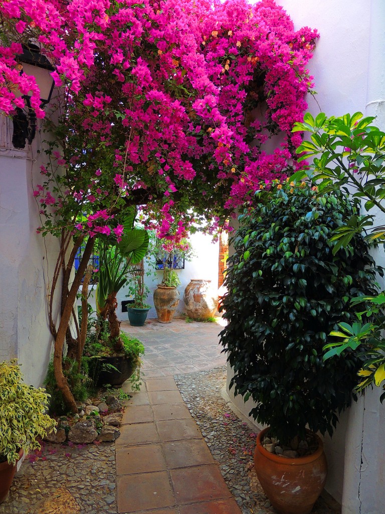 Foto de Frigiliana (Málaga), España