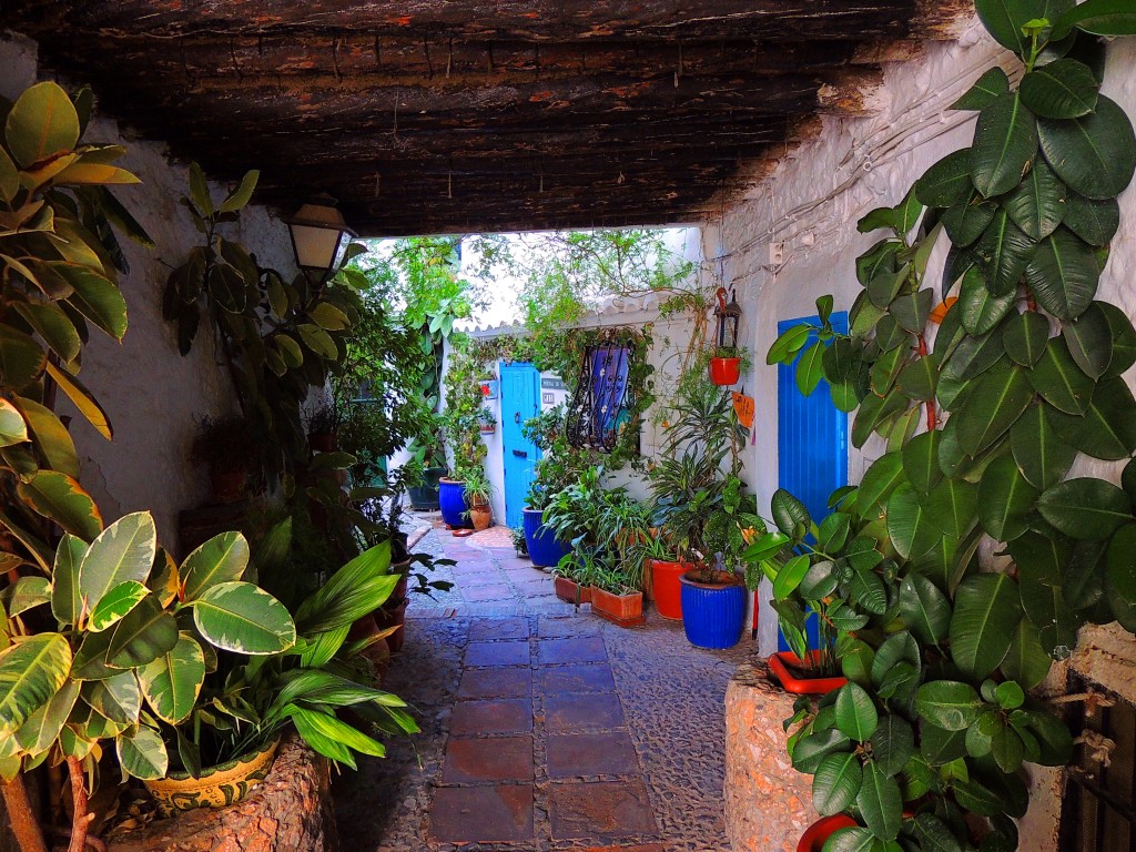 Foto: Portal de Soto - Frigiliana (Málaga), España