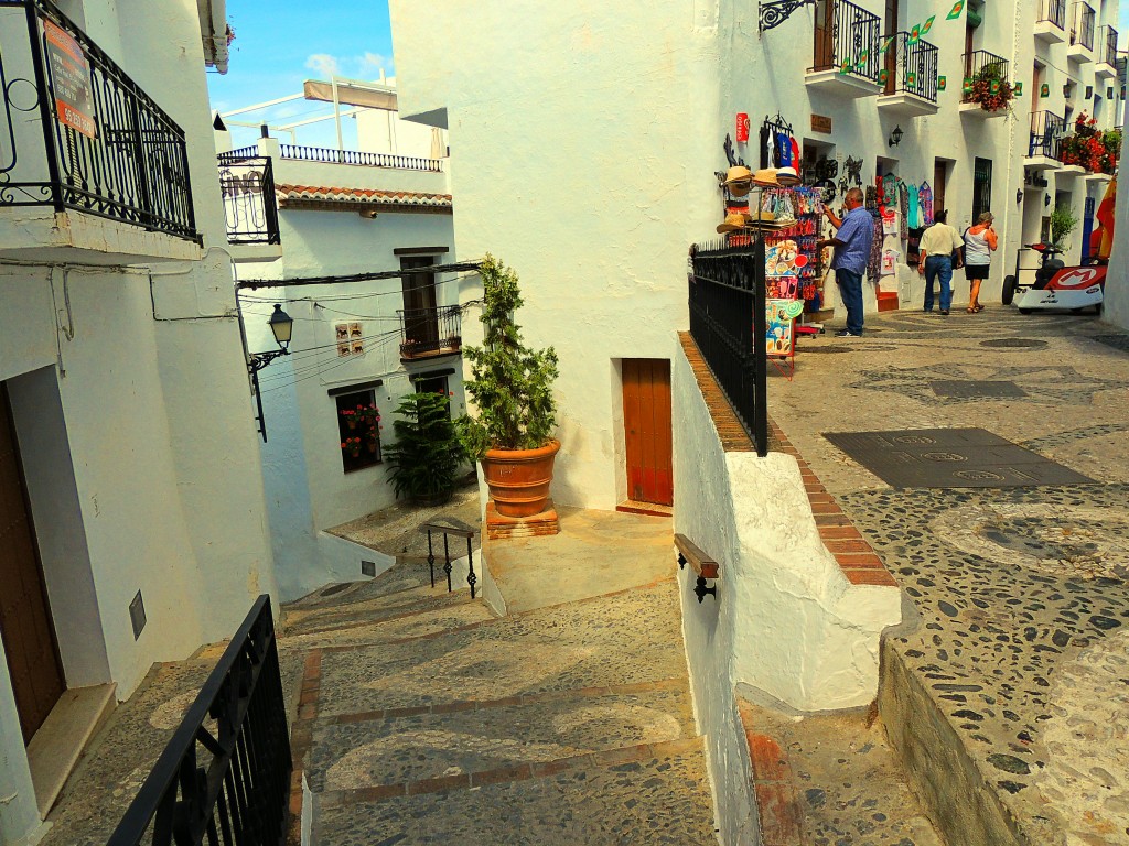 Foto: Huerta - Frigiliana (Málaga), España