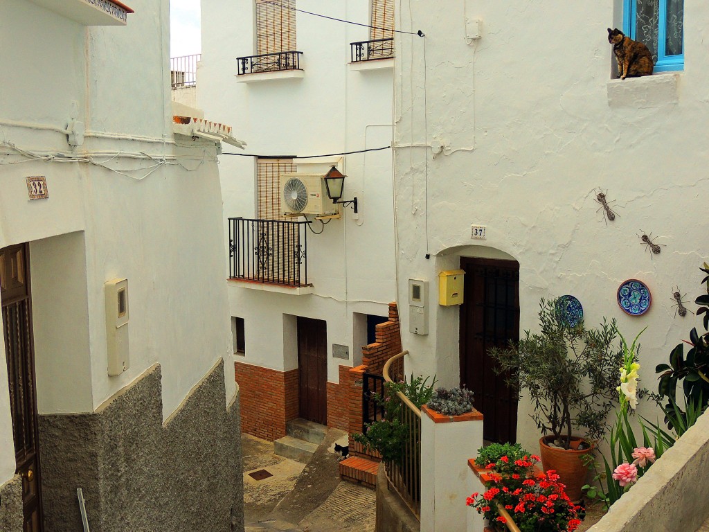 Foto de Cómpeta (Málaga), España