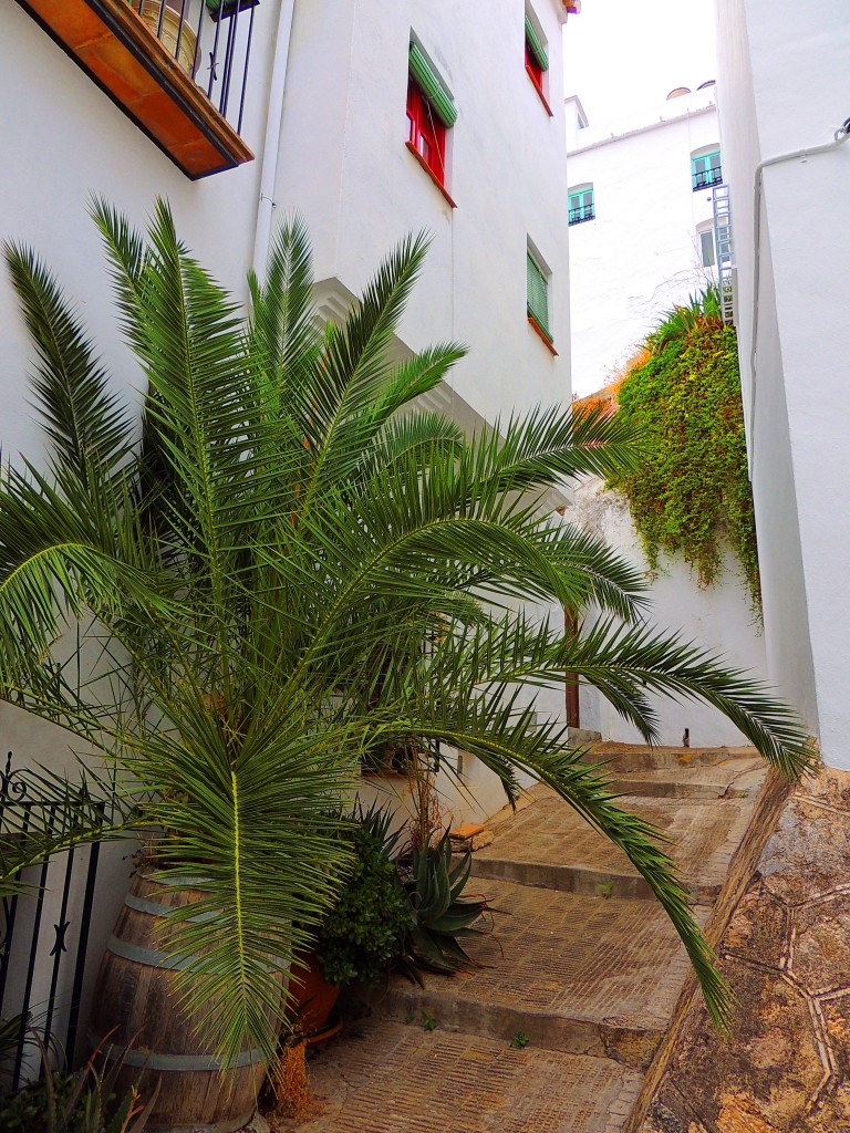 Foto de Cómpeta (Málaga), España