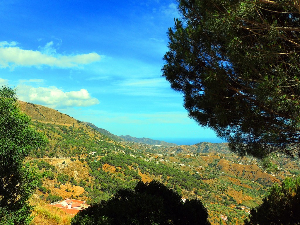 Foto de Cómpeta (Málaga), España