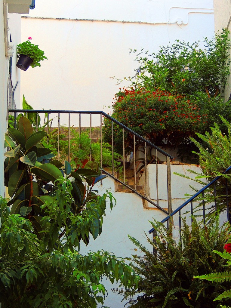 Foto de Cómpeta (Málaga), España