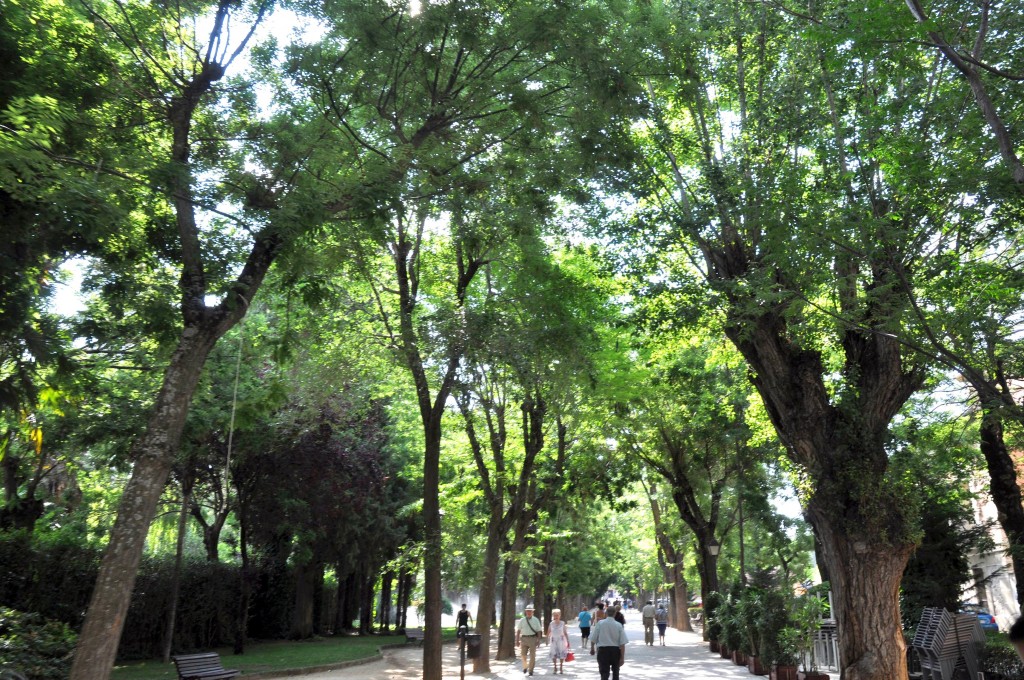 Foto: Paseo - Guadalajara (Castilla La Mancha), España