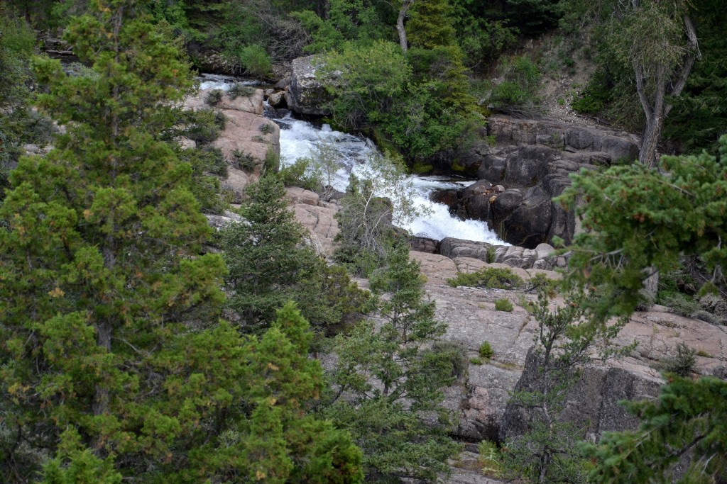 Foto: Bighorn National Forest - Búfalo (Wyoming), Estados Unidos