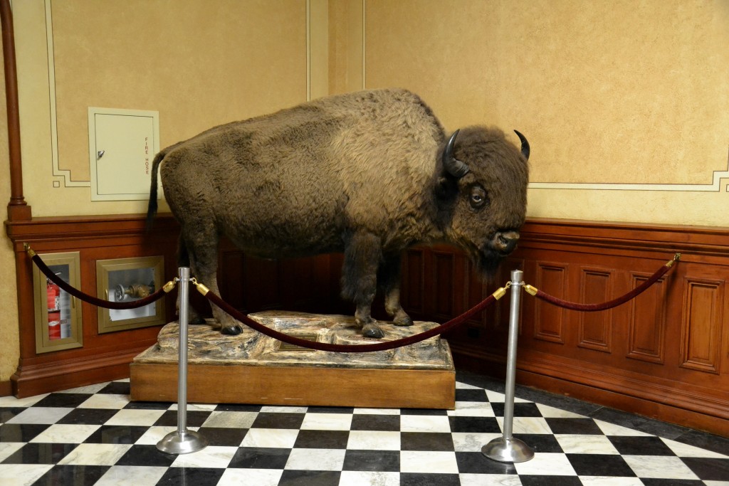 Foto: Wyoming State Capitol - Cheyenne (Wyoming), Estados Unidos