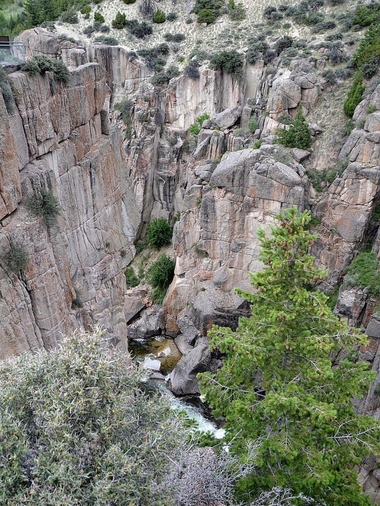 Foto: Bighorn National Forest - Búfalo (Wyoming), Estados Unidos