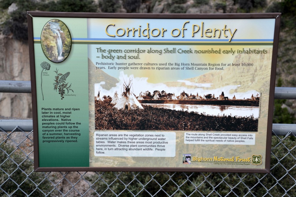 Foto: Bighorn National Forest - Búfalo (Wyoming), Estados Unidos