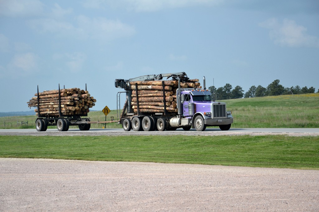 Foto: Crazy Horse Memorial - Crazy Horse (South Dakota), Estados Unidos