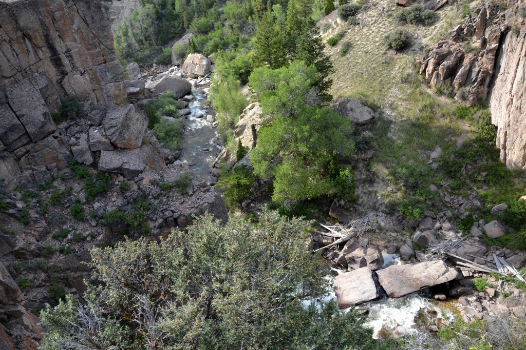 Foto: Bighorn National Forest - Búfalo (Wyoming), Estados Unidos