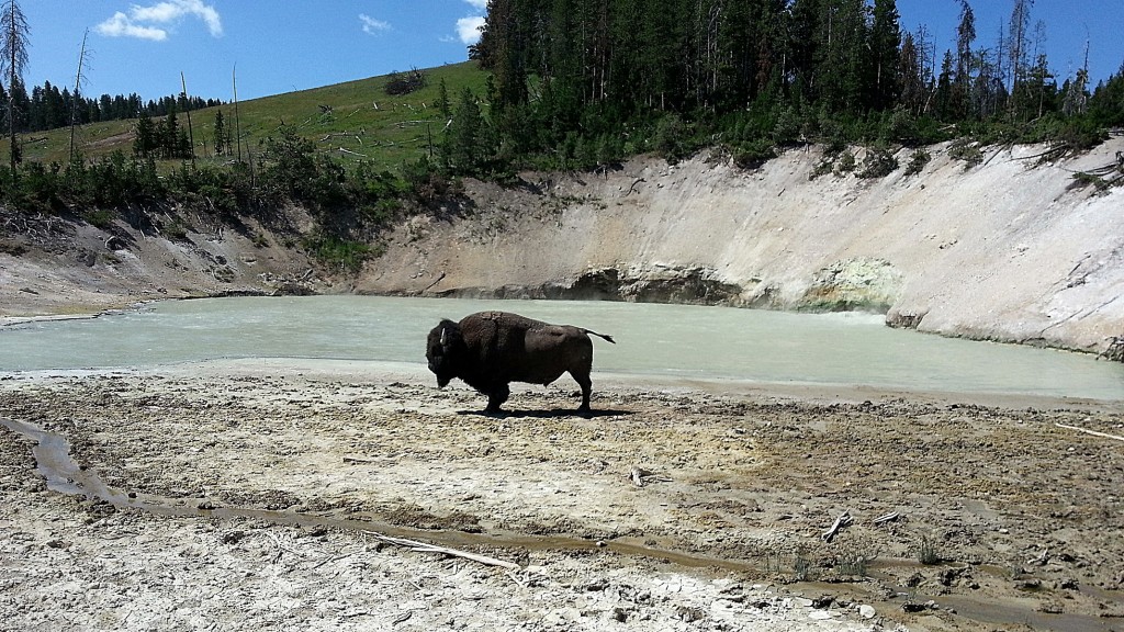 Foto: Mud Volcano - Yellowstone NP (Wyoming), Estados Unidos