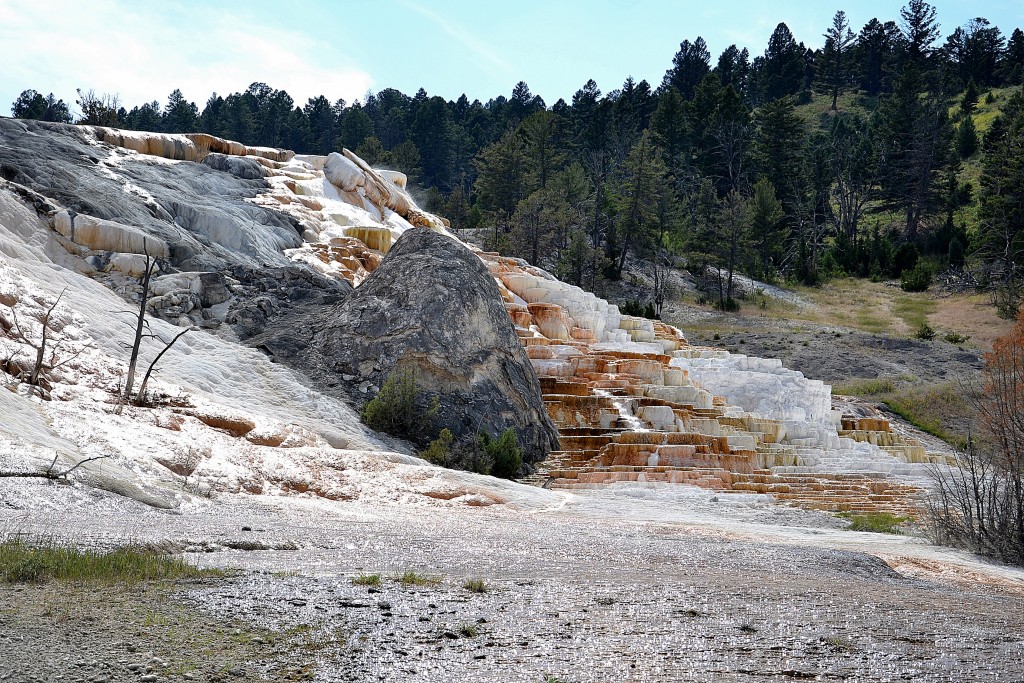 Foto: Mammoth Hot Springs - Yellowstone NP (Wyoming), Estados Unidos
