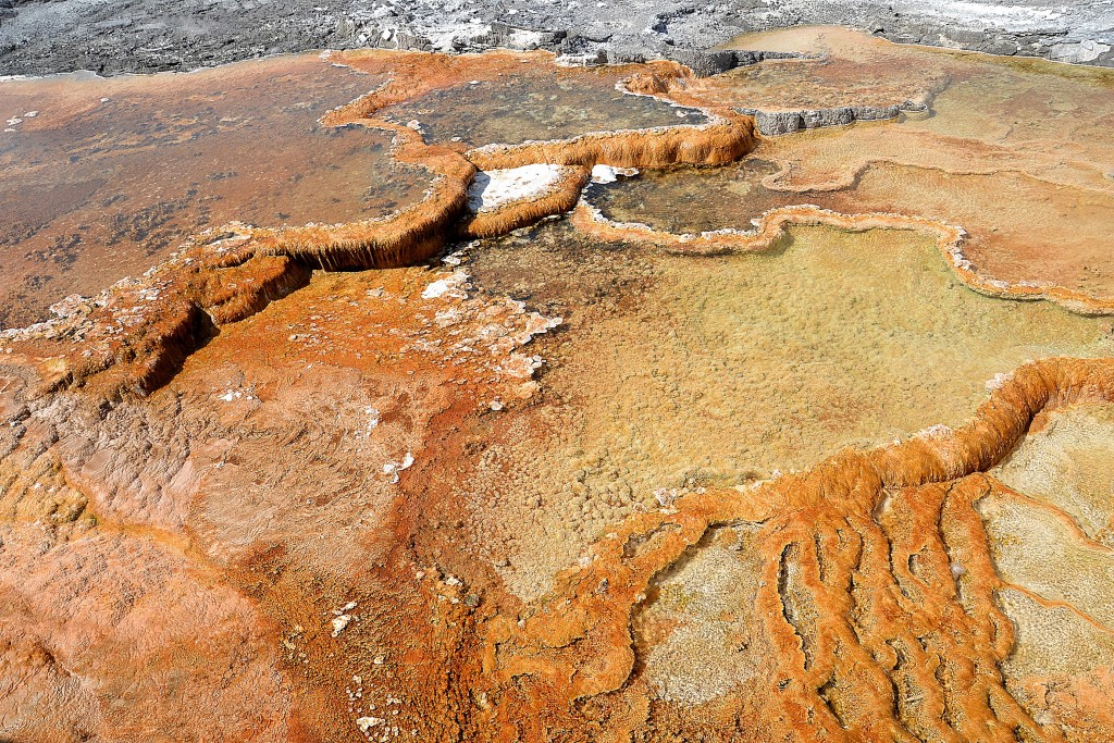 Foto: Mammoth Hot Springs - Yellowstone NP (Wyoming), Estados Unidos