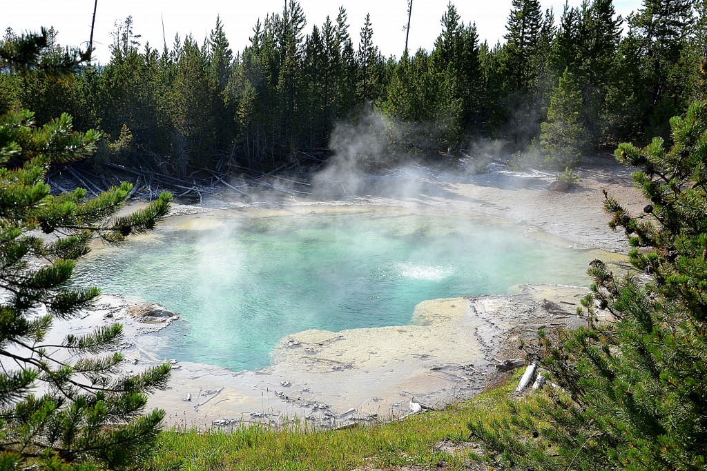 Foto: Norris Geyser Basin - Yellowstone NP (Wyoming), Estados Unidos