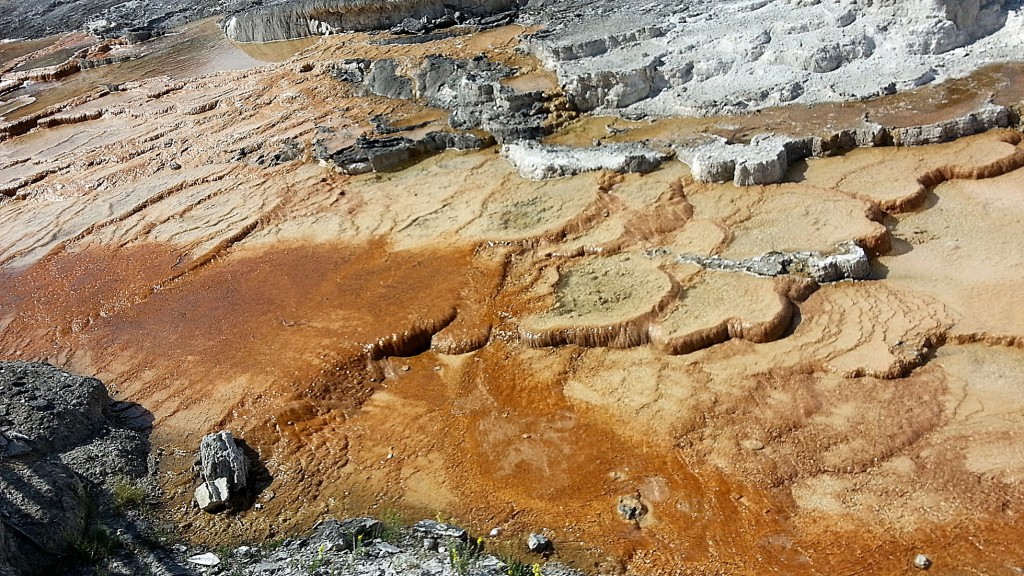 Foto: Mammoth Hot Springs - Yellowstone NP (Wyoming), Estados Unidos