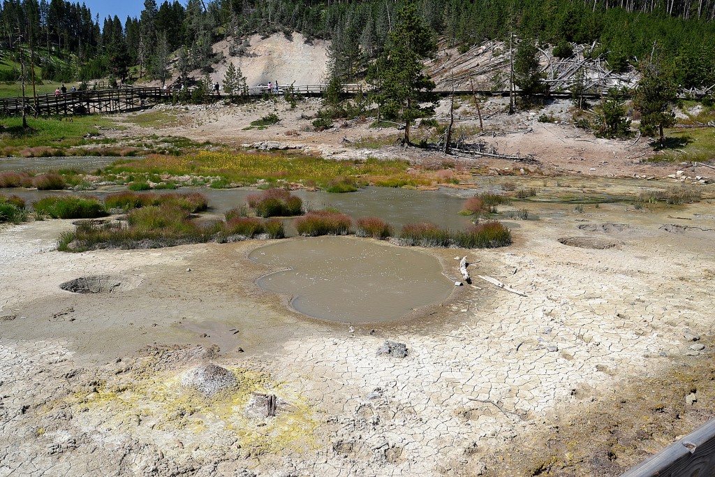 Foto: Mud Volcano - Yellowstone NP (Wyoming), Estados Unidos