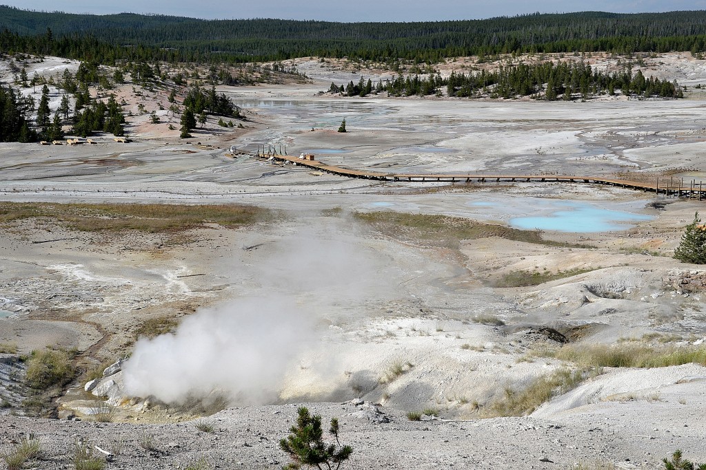 Foto: Norris Geyser Basin - Yellowstone NP (Wyoming), Estados Unidos