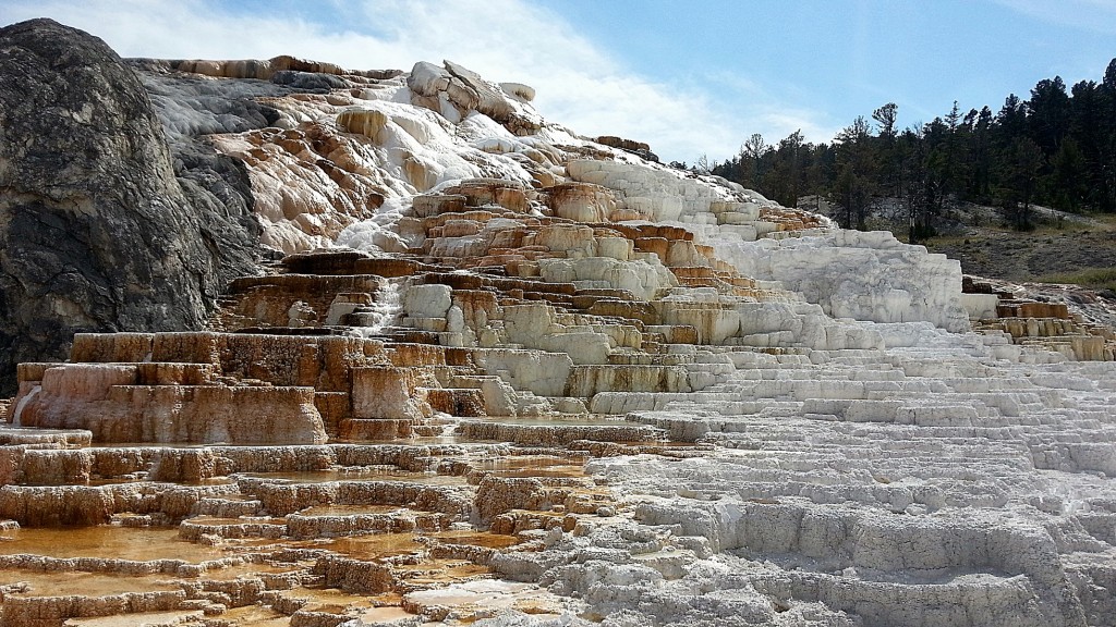 Foto: Mammoth Hot Springs - Yellowstone NP (Wyoming), Estados Unidos