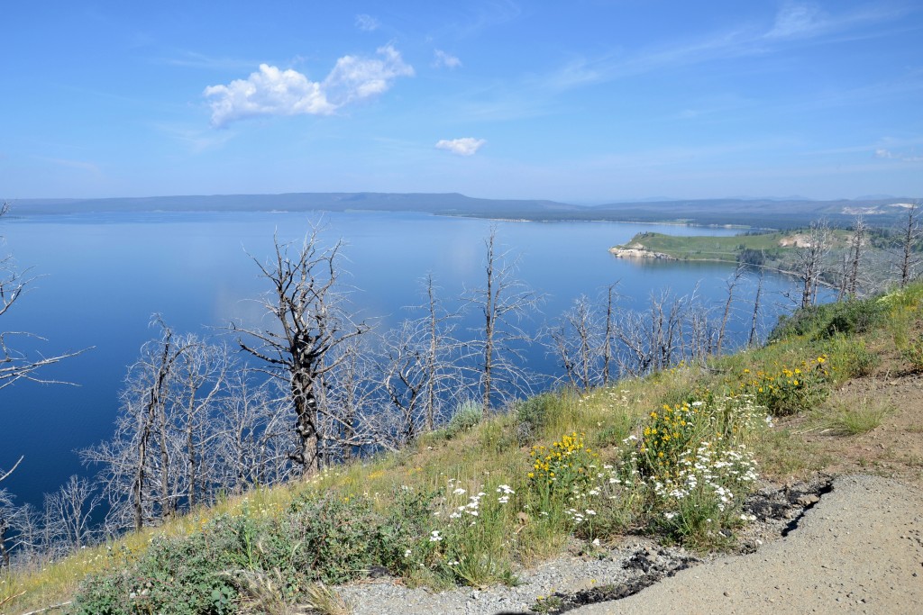 Foto: Lago Yellowstone - Yellowstone NP (Wyoming), Estados Unidos