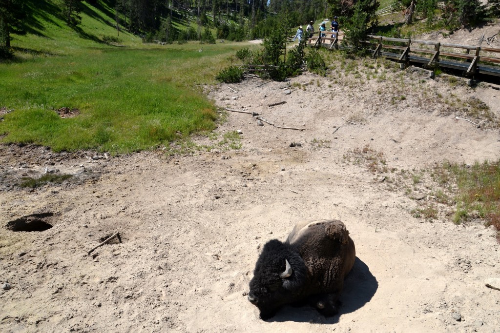 Foto: Mud Volcano - Yellowstone NP (Wyoming), Estados Unidos