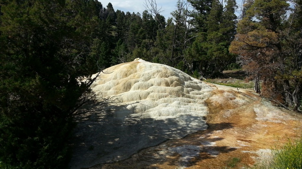 Foto: Highland Spring - Yellowstone NP (Wyoming), Estados Unidos