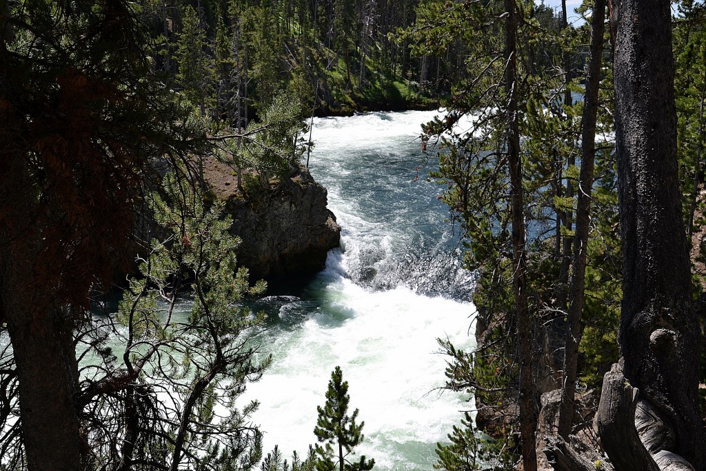 Foto: Yellowstone River - Yellowstone NP (Wyoming), Estados Unidos